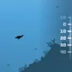 A Penguin's Odyssey